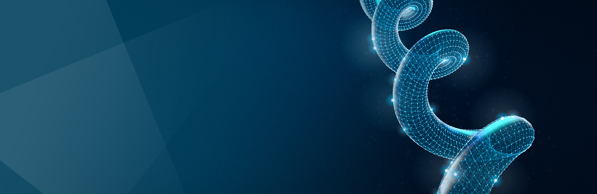 人体载荷与运动仿真